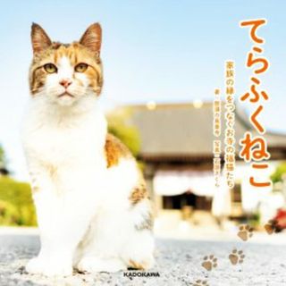 てらふくねこ 家族の縁をつなぐお寺の福猫たち／那須の長楽寺(著者),石原さくら(写真家)(住まい/暮らし/子育て)