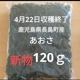 4月22日収穫終了 鹿児島県長島町産 あおさ あおさのり 乾燥あおさ(その他)