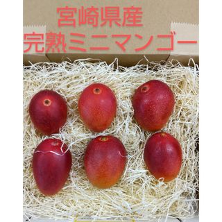 ミニマンゴー　６玉　400g~450g前後　【常温発送】　完熟マンゴー　宮崎県産(フルーツ)