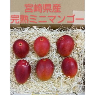 ミニマンゴー　６玉　400g~450g前後　【常温発送】　完熟マンゴー　宮崎県産(フルーツ)