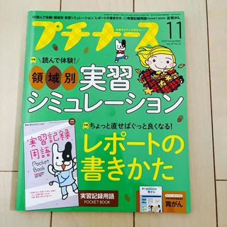 プチナース 2020年 11月号 [雑誌](専門誌)