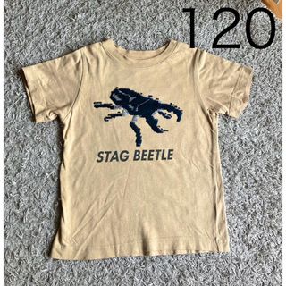 ジーユー(GU)のGU 半袖 tシャツ 120 クワガタ柄　スパンコール (Tシャツ/カットソー)