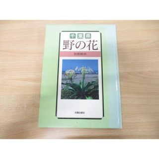 ●01)【同梱不可】千葉県 野の花/安原修次/光陽出版社/1987年発行/A(住まい/暮らし/子育て)