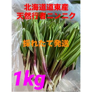 北海道道東産天然行者ニンニク　アイヌネギ(野菜)