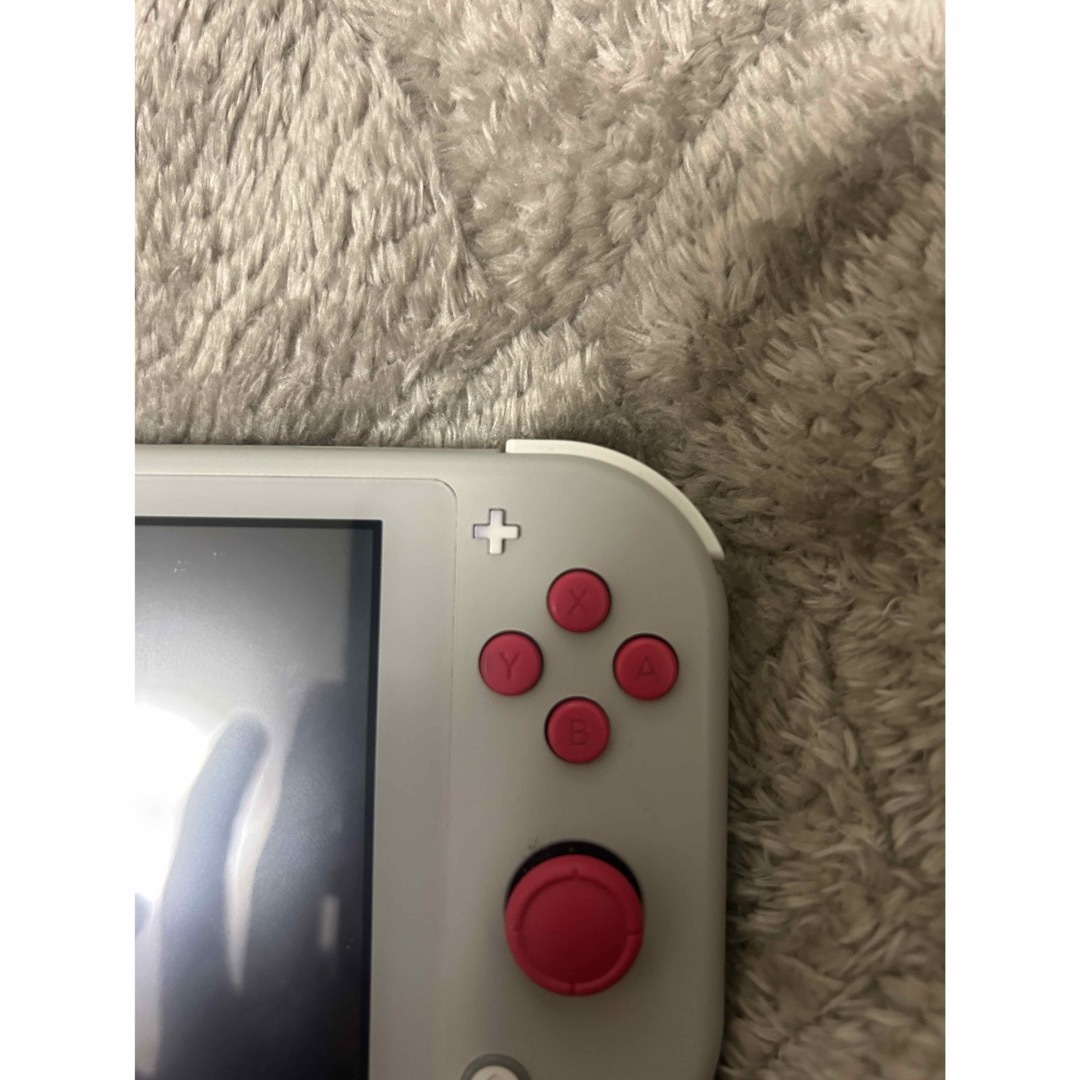 Nintendo Switch Lite 箱無し ポケモン Nintendo Switch Lite 箱無し ポケモン