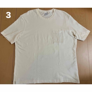 ザラ(ZARA)のZARAコットンTシャツ(Tシャツ/カットソー(半袖/袖なし))