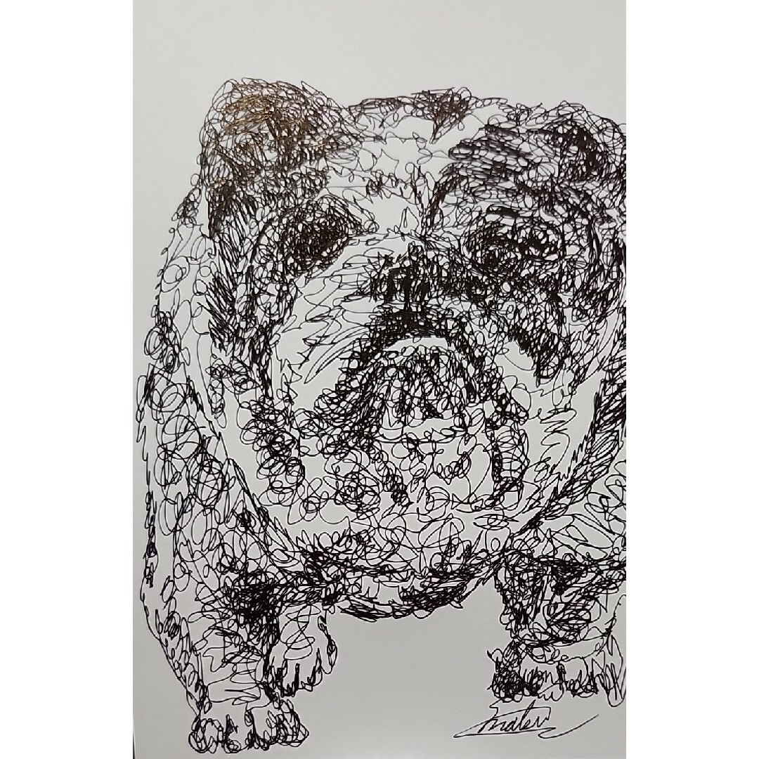 マゴタロウ様専用『イングリッシュブルドッグ』ボールペン画。一筆書き。ハガキ。犬。 ハンドメイドのインテリア/家具(アート/写真)の商品写真