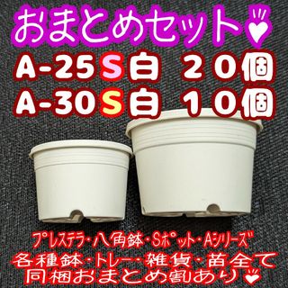 プラ鉢30個おまとめセット♪【A-25S×20個・30S×10個】プレステラ多肉(プランター)