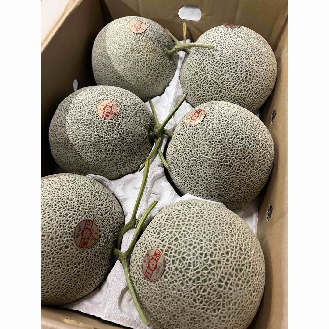 赤肉メロン L 6玉 赤肉メロン L 6玉