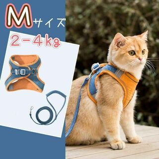 M ブルー　青　オレンジ　リード　ハーネス　猫　小動物　ペット　散歩(猫)