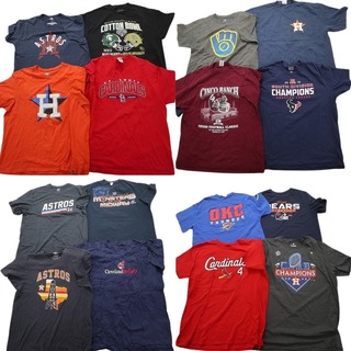 古着卸 まとめ売り プロチーム 半袖Tシャツ 16枚セット (メンズ XL ) インディアンズ アストロズ カレッジリーグ含む MS4630(その他)