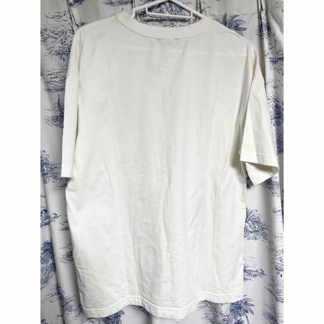 ZARA(ザラ)のZARA ダメージエフェクトTシャツ レディースのトップス(Tシャツ(半袖/袖なし))の商品写真