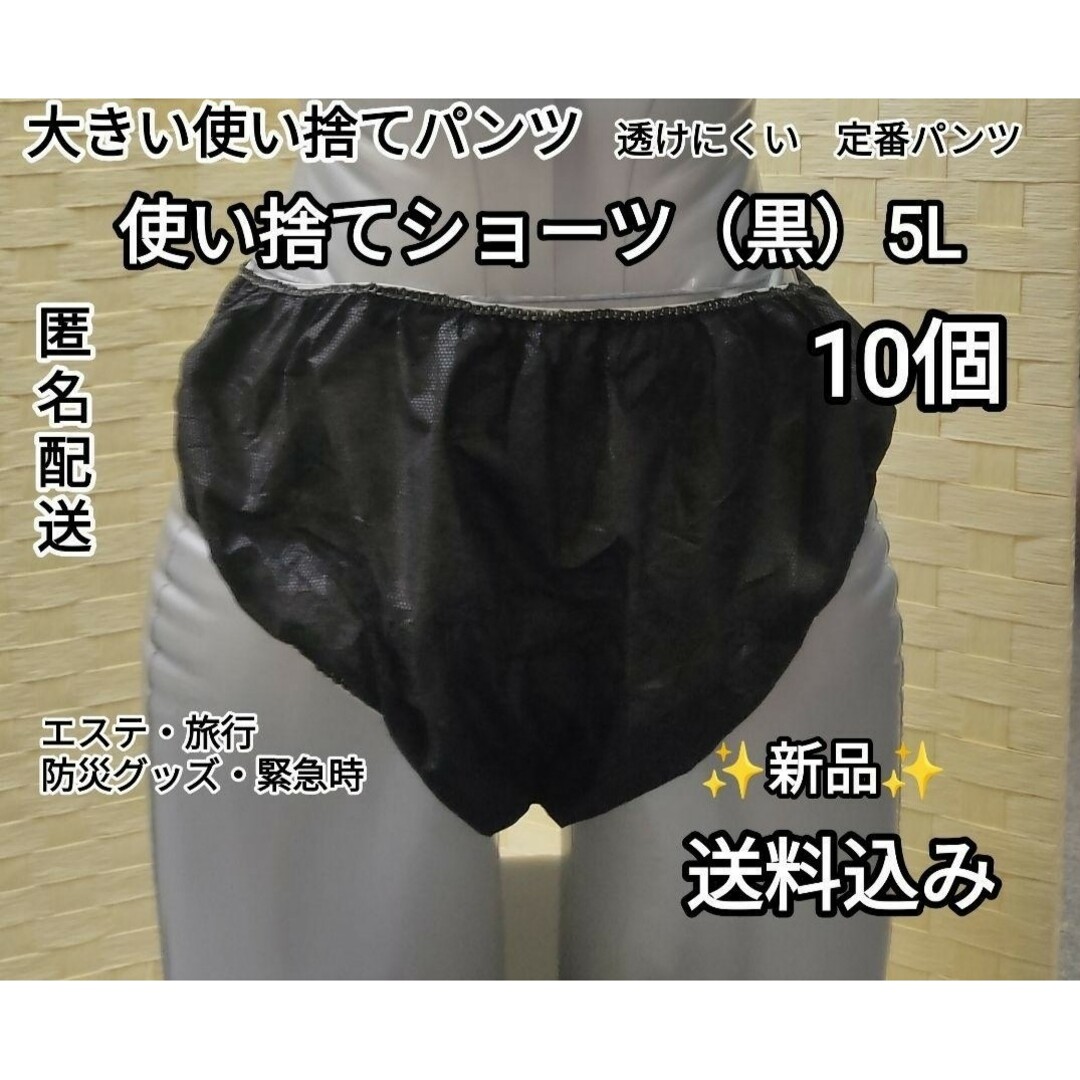 大きいサイズ　ペーパーショーツ　5L　10個　エステ・旅行・介護・防災グッズ インテリア/住まい/日用品の日用品/生活雑貨/旅行(防災関連グッズ)の商品写真