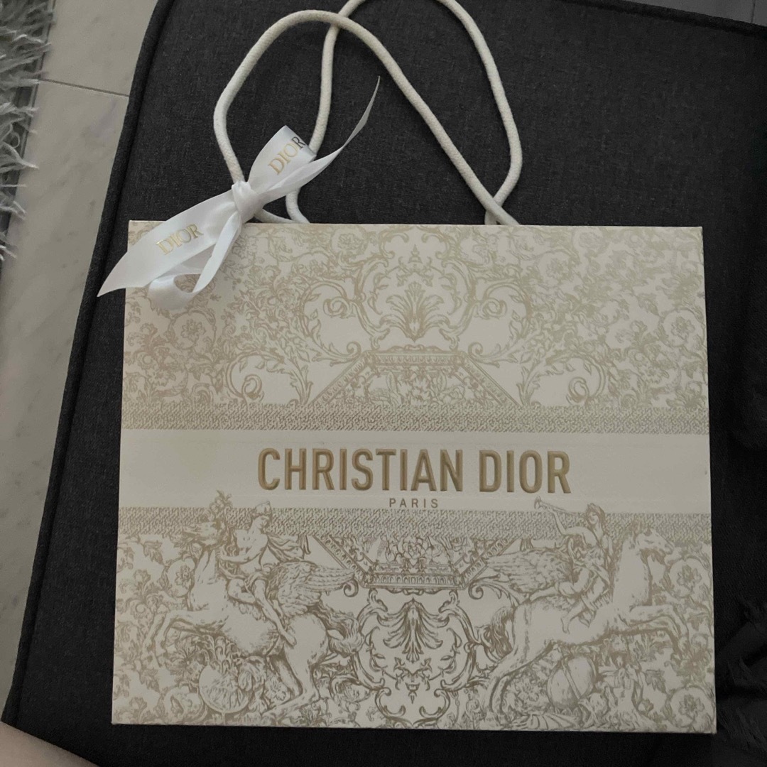 Christian Dior(クリスチャンディオール)のDior 紙袋 レディースのバッグ(ショップ袋)の商品写真