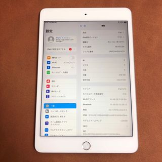 7426 iPad mini5 第5世代 256GB SIMフリー