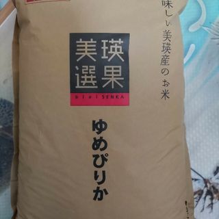 ★北海道産ゆめぴりか★5キロ②袋★送料込★(米/穀物)