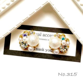 315.ピアス/イヤリング(ピアス)