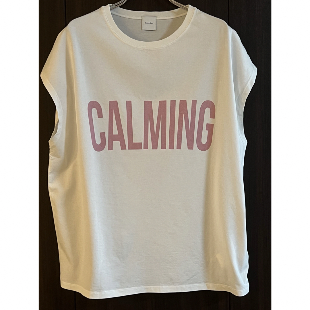 Spick & Span(スピックアンドスパン)のSpick & Span CALMINGフレンチT  ピンク　新品未使用　 レディースのトップス(Tシャツ(半袖/袖なし))の商品写真