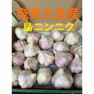 黒ニンニクにもおすすめ！奄美大島産　島ニンニク(野菜)