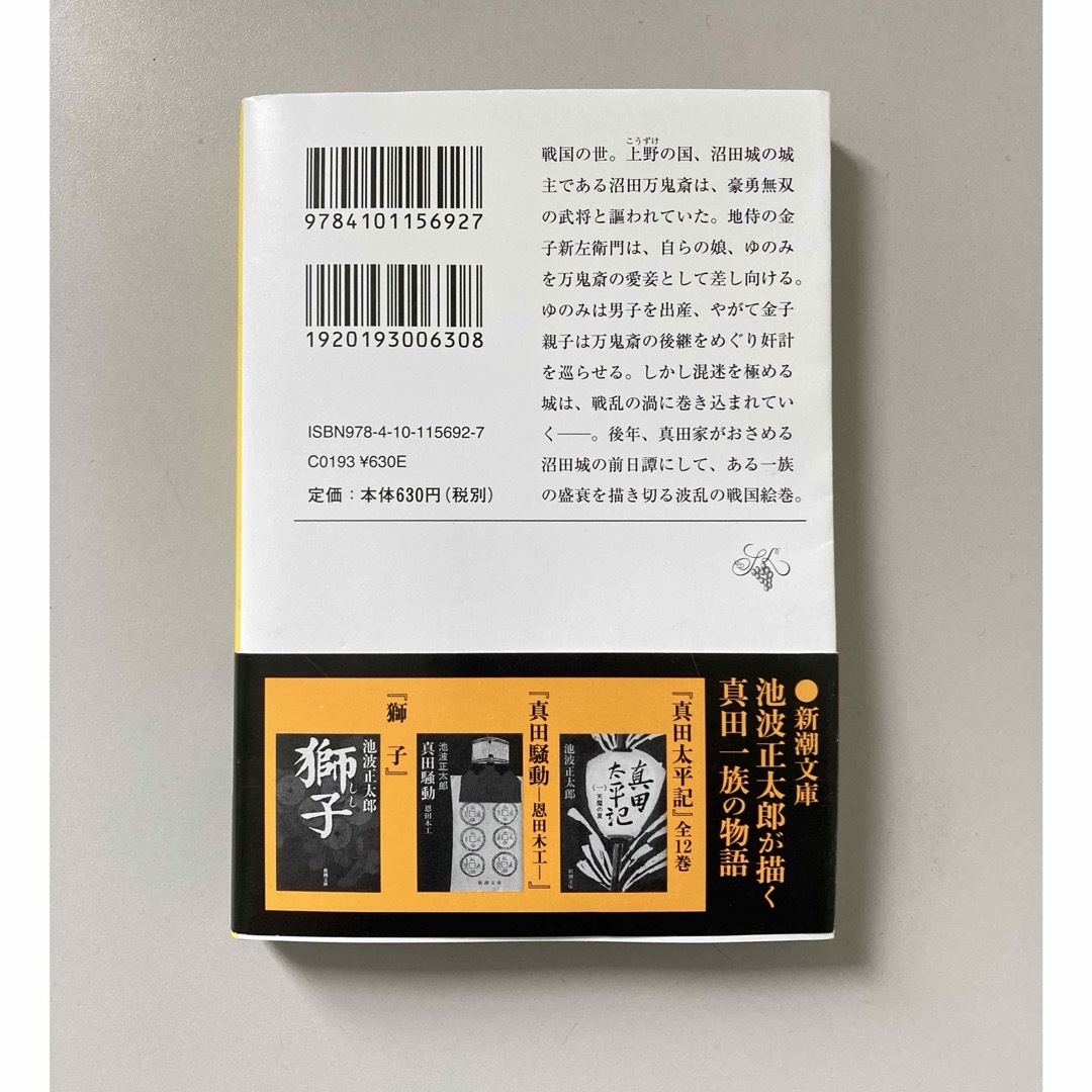 まぼろしの城 エンタメ/ホビーの本(その他)の商品写真
