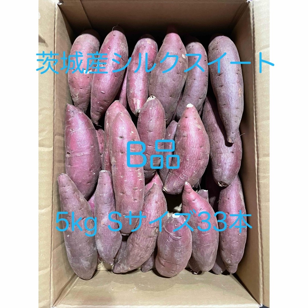 茨城県産シルクスイート 食品/飲料/酒の食品(野菜)の商品写真