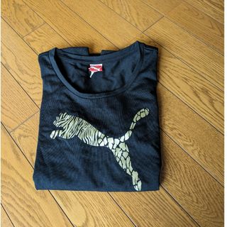 プーマ(PUMA)の(⁠.⁠ ⁠❛⁠ ⁠ᴗ⁠ ⁠❛⁠.⁠)プーマ　Tシャツ｡⁠◕⁠‿⁠◕⁠｡(Tシャツ(半袖/袖なし))