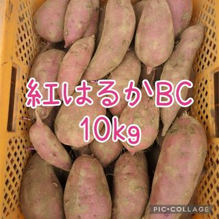 紅はるかBC10kg(野菜)