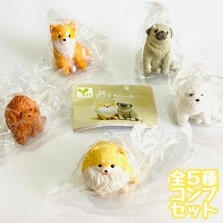 A-57　コンプ　おすわり～ぬ　お座り×犬　全5種セット　ガチャ　フィギュア