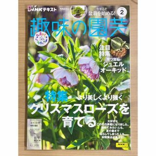 NHK趣味の園芸2024年2月号 クリスマスローズ/ジュエルオーキッド/盆栽(趣味/スポーツ)