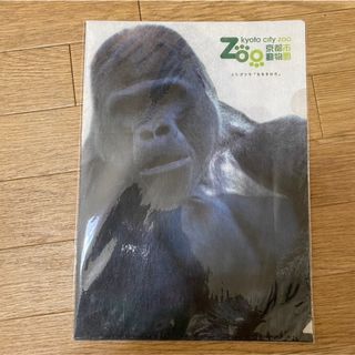 もこもこクリアファイル 京都市動物園 ニシゴリラ モモタロウ gorilla(ファイル/バインダー)