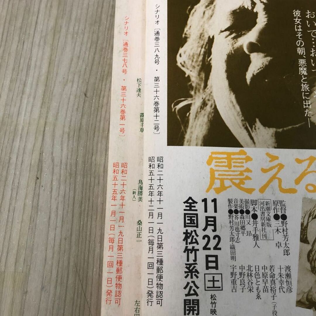 3-#全12冊まとめ セット 月刊 シナリオ 1980年 昭和55年 シミキズよごれ有 映画芸術 十九歳の地図 マザーテレサとその世界 トラック野郎 エンタメ/ホビーの本(文学/小説)の商品写真