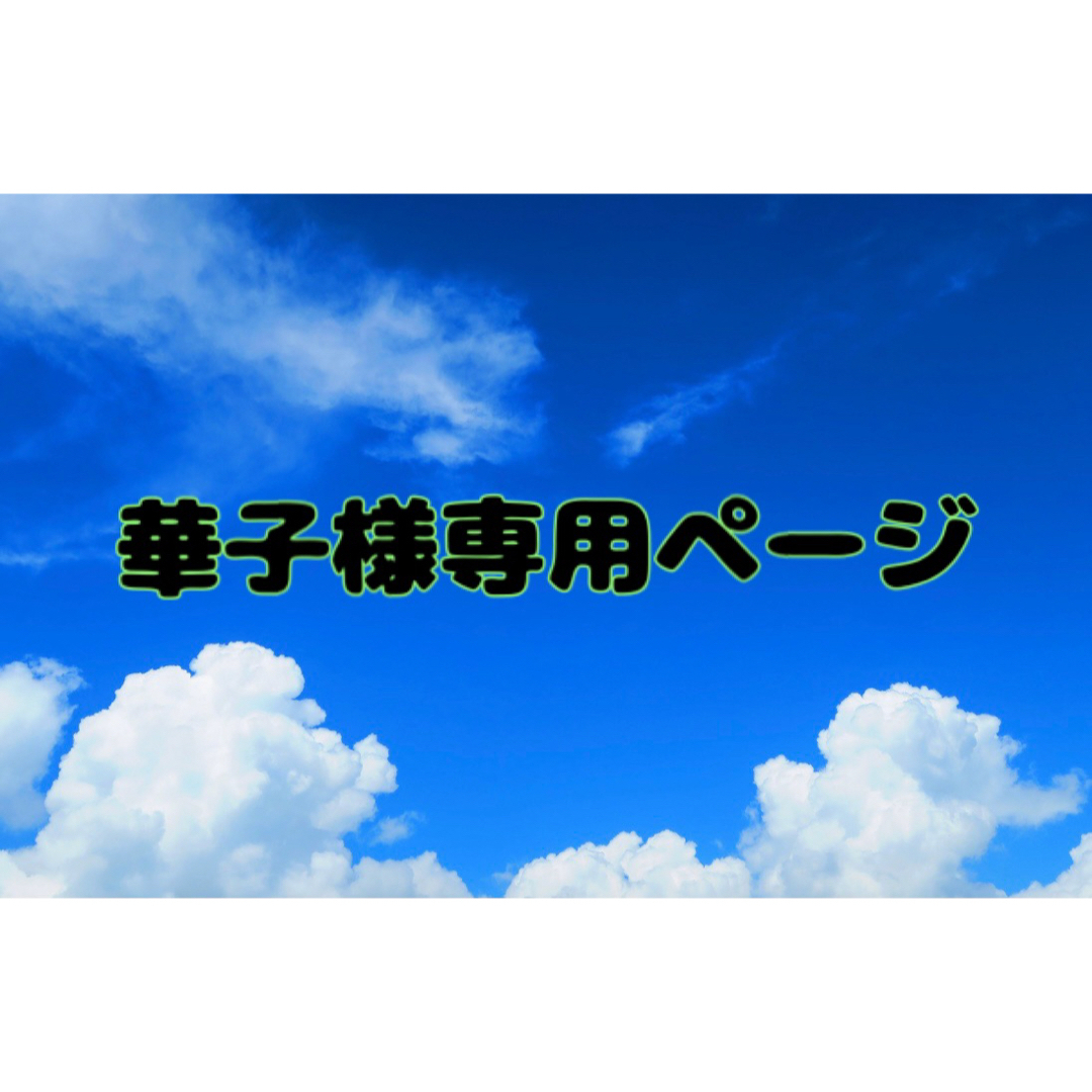 華子様専用ページです エンタメ/ホビーの本(語学/参考書)の商品写真