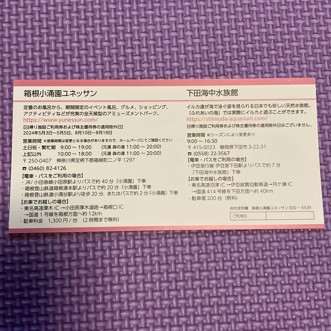 最新　藤田観光株主優待　日帰り施設ご利用券　2枚　9月30日まで有効 チケットの施設利用券(その他)の商品写真