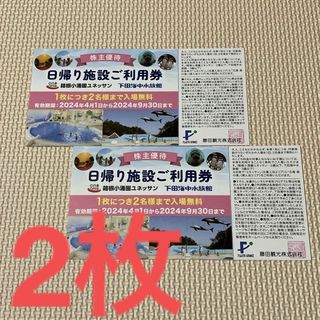 最新　藤田観光株主優待　日帰り施設ご利用券　2枚　9月30日まで有効(その他)