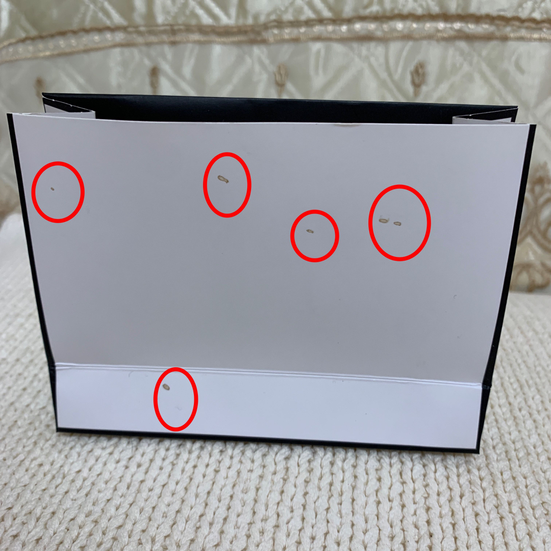 CHANEL(シャネル)のシャネル 限定カメリア付き ギフトボックス ラッピング用　訳あり　RD レディースのバッグ(ショップ袋)の商品写真