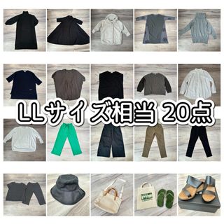 DUM232 まとめ売り① 大きいサイズ ベーシック20点 新同～中古 LL相当(セット/コーデ)