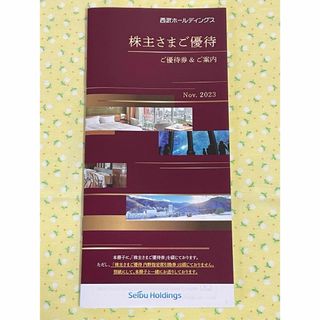 西武ホールディングス　株主優待券　　2024年5月31日(その他)