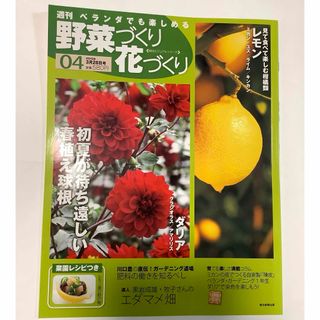 週刊　ベランダでも楽しめる　野菜づくり花づくり　(趣味/スポーツ)