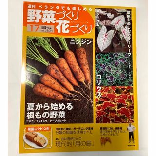 週刊　ベランダでも楽しめる　野菜づくり花づくり　(趣味/スポーツ)