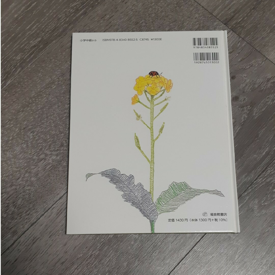 わたしたちのカメムシずかん エンタメ/ホビーの本(絵本/児童書)の商品写真