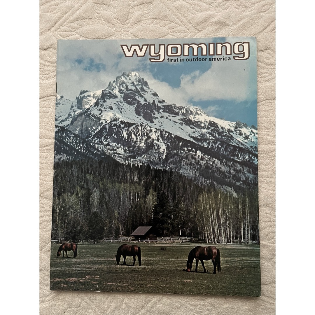 Wyomingスーベニアブック　英語版 エンタメ/ホビーの本(地図/旅行ガイド)の商品写真