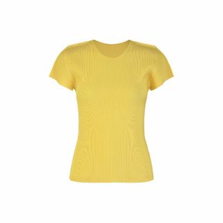 プリーツプリーズイッセイミヤケ(PLEATS PLEASE ISSEY MIYAKE)のPLEATS PLEASE ISSEY MIYAKE丸首半袖シャツ(Tシャツ(半袖/袖なし))