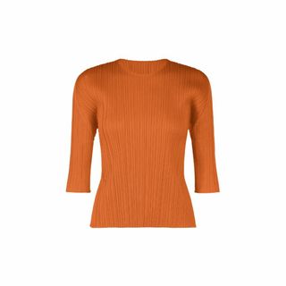 プリーツプリーズイッセイミヤケ(PLEATS PLEASE ISSEY MIYAKE)のPLEATS PLEASE ISSEY MIYAKE丸首シャツ(Tシャツ(長袖/七分))