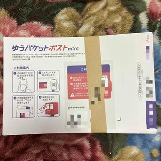 【本日限定価格】ゆうパケットポストmini  50枚(印刷物)