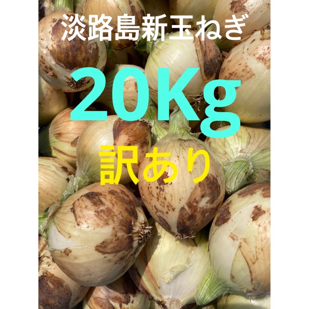 ⭕️訳あり20Kg⭕️淡路島新玉ねぎ　たまねぎ　玉葱 食品/飲料/酒の食品(野菜)の商品写真