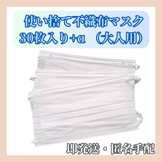 お掃除や花粉症対策・介護時などに【大人用】不織布ホワイトマスク30枚入(日用品/生活雑貨)