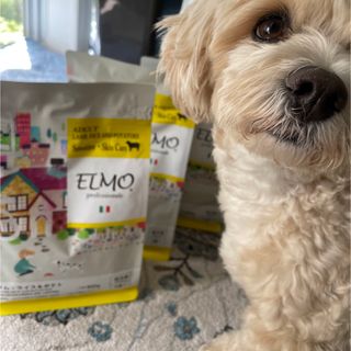 【お買得‼️】　ELMO エルモ ラム・ライス＆ポテト　800g✖️4袋セット