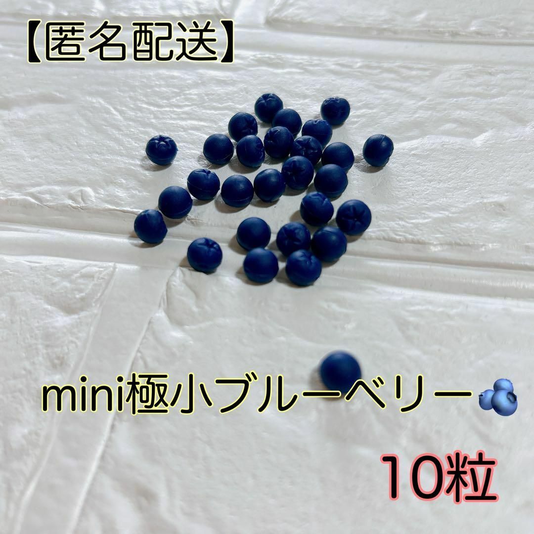 mini極小ブルーベリー  粒 デコ ドール ホイップ スイーツ タルト アクセ ハンドメイドのハンドメイド その他(その他)の商品写真