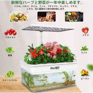 水耕栽培セット 植物育成LEDライト付き 10.0L水槽システム付き 魚槽(その他)