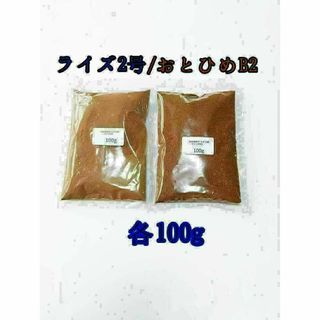 観賞魚餌 おとひめB2 ライズ2号 各100g メダカ 熱帯魚 グッピー